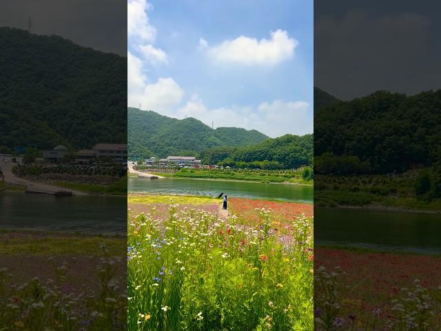 #도담행복마을 #단양도담삼봉 #도담정원