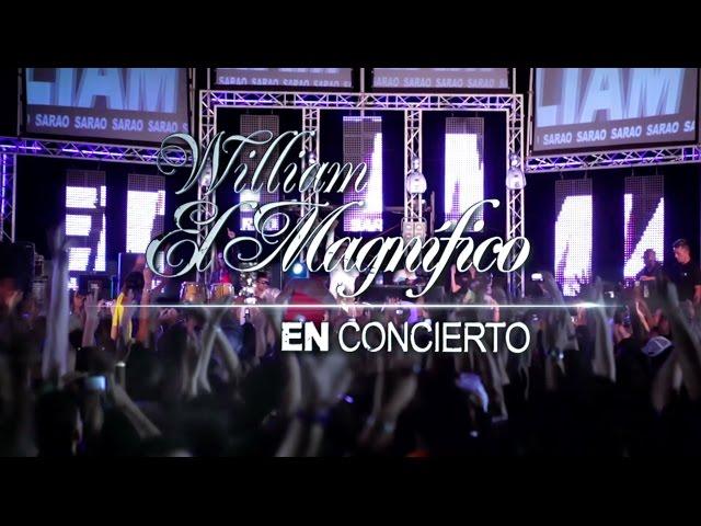 HD Concierto william el magnifico HD