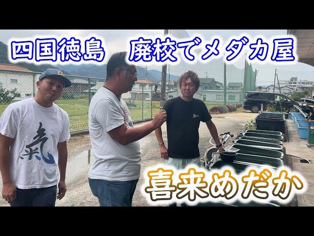 【めだか】イベント前に喜来めだかさん訪問　前半　メダカ屋で地域貢献を！廃校でメダカと学校帰りの子供達を見守るメダカ屋。Ｂ型おやじ