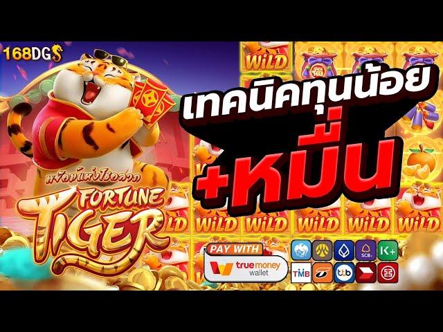 สมัครเว็บตรง สมัครเว็บตรง true wallet : เทคนิคทุนน้อย+หมื่น