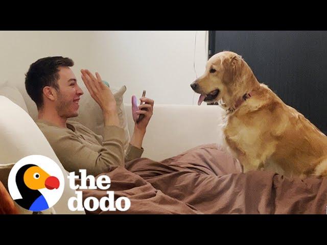 Golden Retriever Begs Dad To Perform Magic Tricks For Her | The Dodo