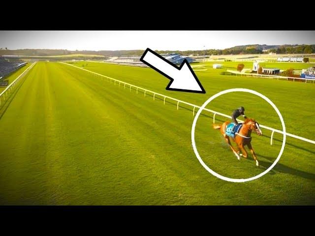 Top 15 Largest Margin Victories in G1 Horse Racing History | #1 Will Shock You!