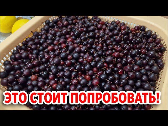 БЕРУ КРЫЖОВНИК ДЕЛАЮ ЦЕЛИТЕЛЬНЫЙ НАПИТОК ДЛЯ ИММУНИТЕТА /ВКУСНО ПРОСТО БЫСТРО@obovsemsmarusya