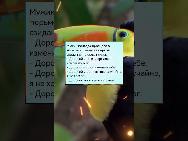 Анекдот дня #настроение #анекдот #прикол #юмор #анекдоты #мем #смех #приколы