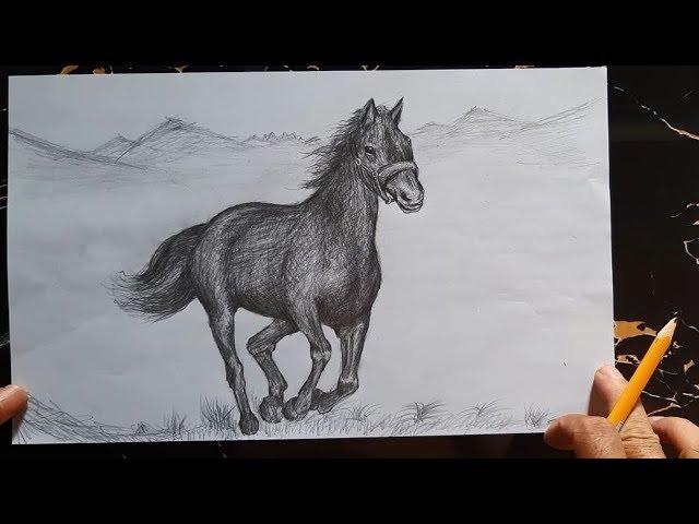 How to draw a Horse with pencil | step by step | MitGreen TV