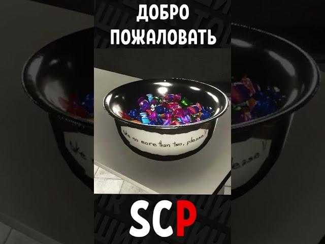 Добро пожаловать в SCP #shorts