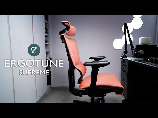 Affordable Ergonomic Home Office Chair | Ergotune Supreme Review