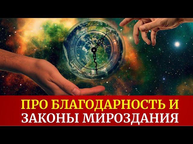 "Про благодарность и законы мироздания" | PROсознание | Прямой эфир