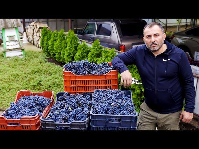 Homemade Wine from homemade Grapes | Food and Drinks by GEORGY KAVKAZ