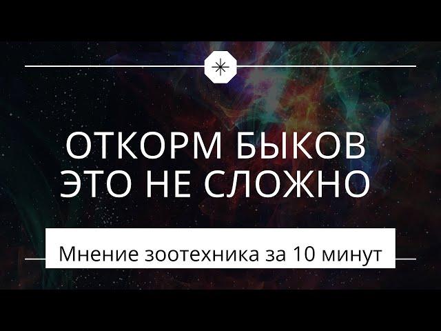 Откорм быков за 10 минут. Обзор от зоотехника. Александр Гальцов