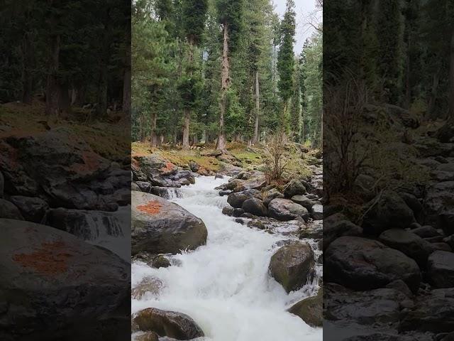 Waterfall | Pahalgam | Kashmir