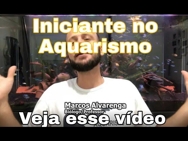 Dicas para iniciantes no aquarismo!!