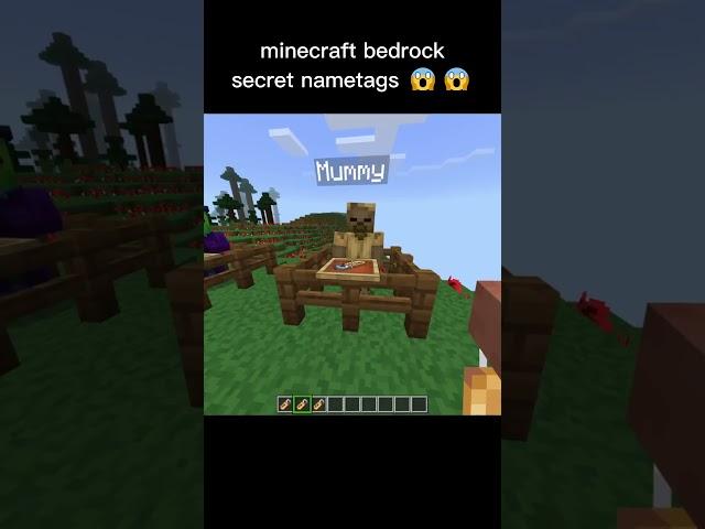 minecraft bedrock moment
