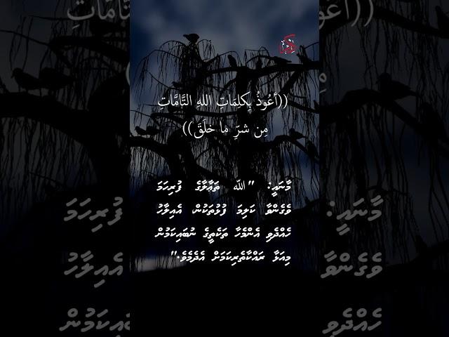 #zikir #islam #dawa #maldives  #alirameez