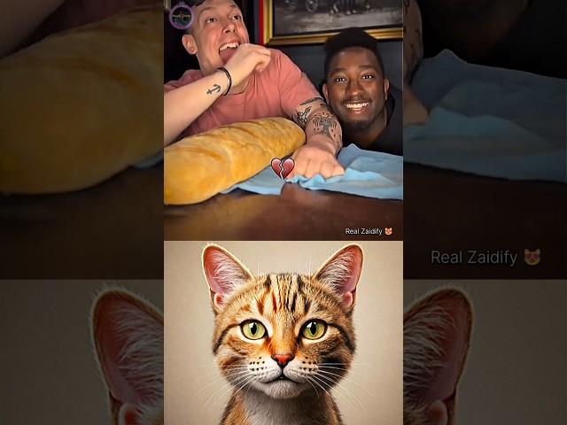 give this video title  (warning answer) #cat #meme #dance #trending