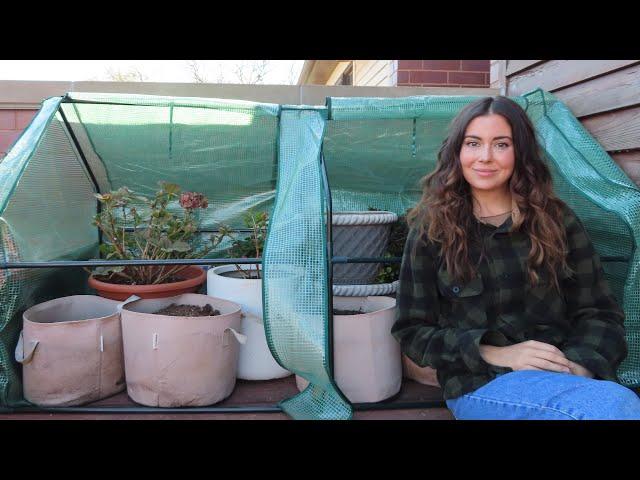 Overwintering Potted Plants In A Greenhouse | Container Gardening