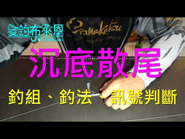 學釣魚 #24  沉底散尾的釣組、釣法與訊號判斷 (磯釣入門系列)(有字幕)