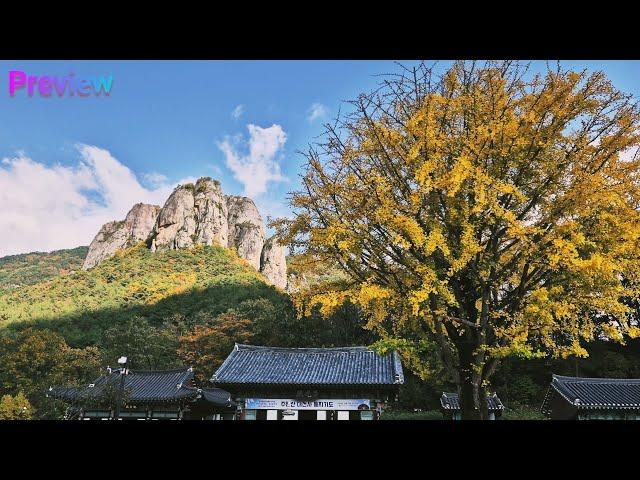 깊은 협곡,기암속에 숨은 비경! 주왕산에 가다.(4K)(2024.11.02)|Life in Korea Vlog ㅣTravel in Korea