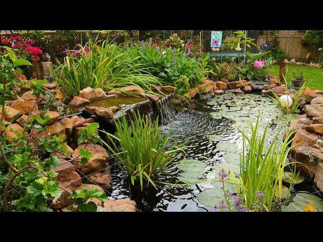 Garden Paradise in Cedar Park |Deborah & Robert Jennings |Central Texas Gardener