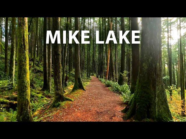 Beautiful Relaxing Forest Walk to Mike Lake in Golden Ears Park, Maple Ridge BC Canada