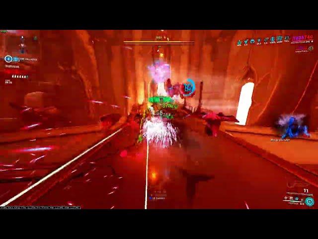 PROTEA + PROBOSCIS CERNOS 2025 #warframe #playwarframe #proteaprime #probosciscernos #endgame