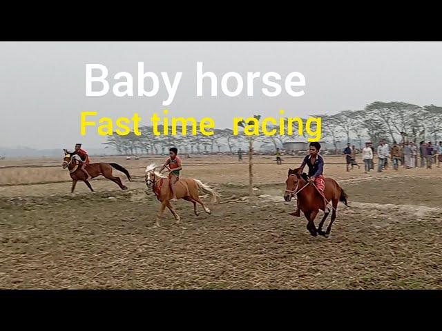 horse racing  sylhet/ baby horse fast time racing bajar tv