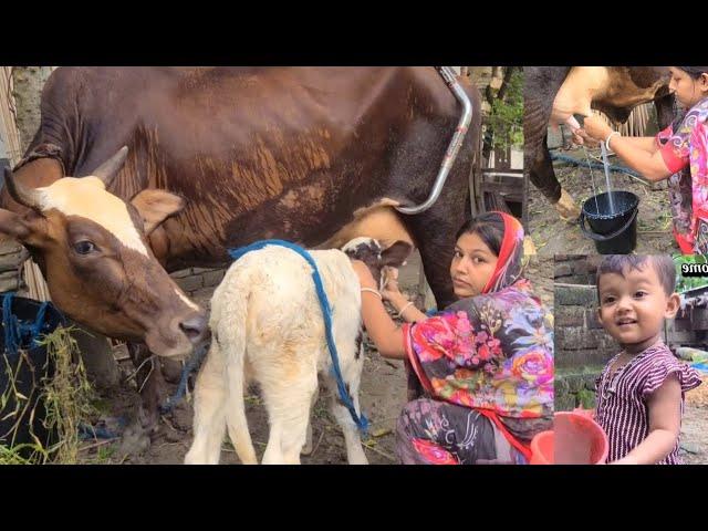 Cow Milking by Beautiful Village Women  Cowmilking by Hand