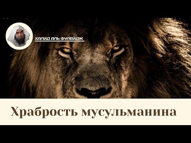 Храбрость мусульманина | Халид аль Фулейдж