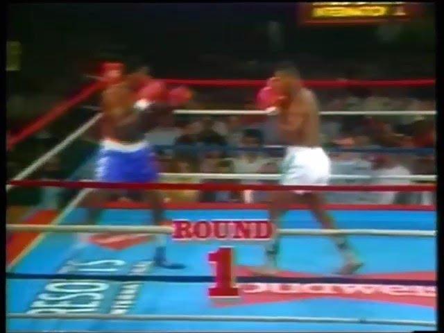 Mike Tyson Vs Lorenzo Canady Highlights (7th. Pro Fight)