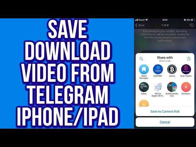 How To Save/Download Video From Telegram IPhone/IPad(2023)