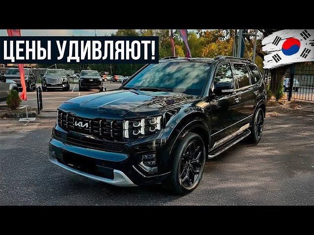 Это самые ВЫГОДНЫЕ авто из Кореи на сегодняшний день! Стоит присмотреться