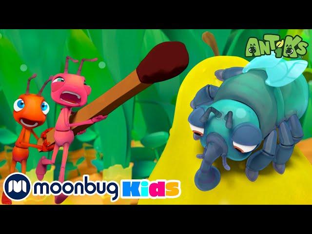  PERA AÍ!!!  | 1 HORA DE ANTIKS BRASIL! | Moonbug Kids em Português | Desenhos Animados Infantis