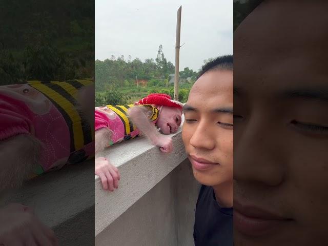 Bibi cry