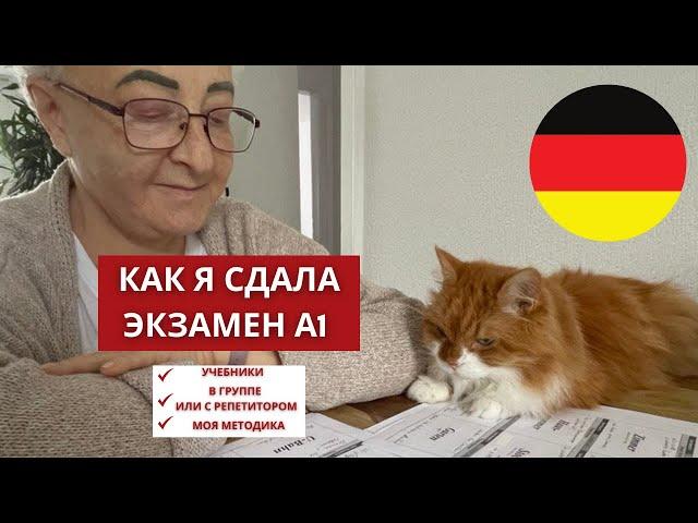 Я сдала экзамен Deutsch А1 telc / Goethe. Мой опыт экспресс подготовки