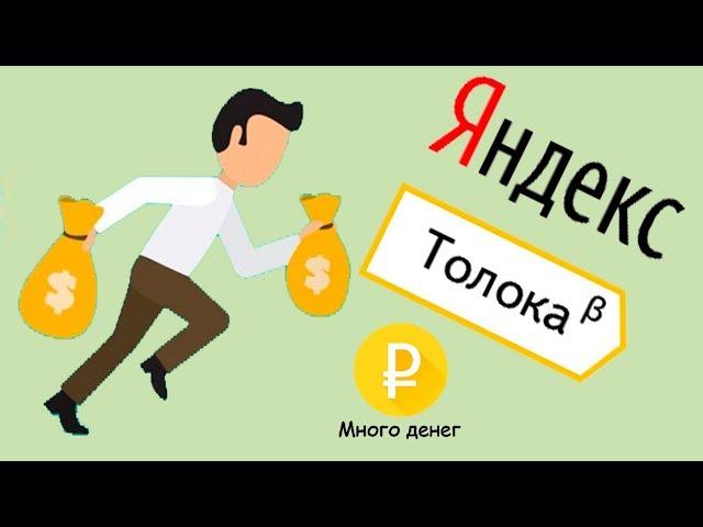 Яндекс Толока - как и сколько можно заработать