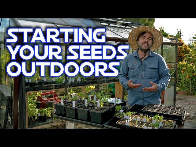 Starting All Your Seeds Outside | What To Expect