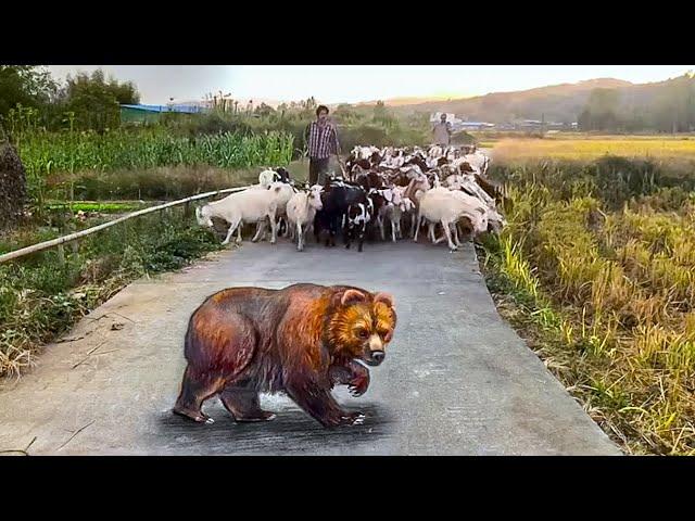 Amazing 3D Art Painting On The Road For fun