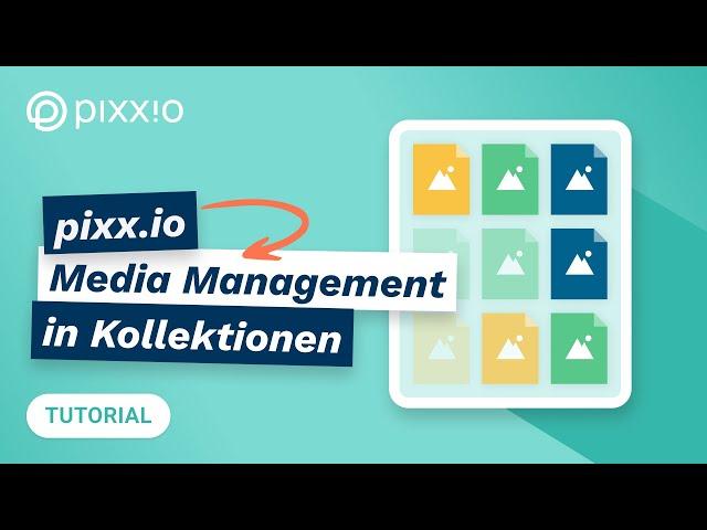 Media Management in Kollektionen – Tutorial: pixx.io beendet das Bilderchaos