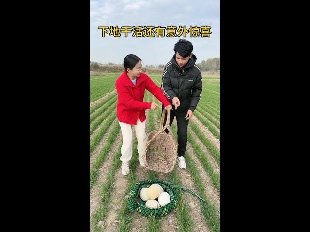 # Country Fun# Funny Short Play# Wonderful Humor# Country Short Play# Happy Moment