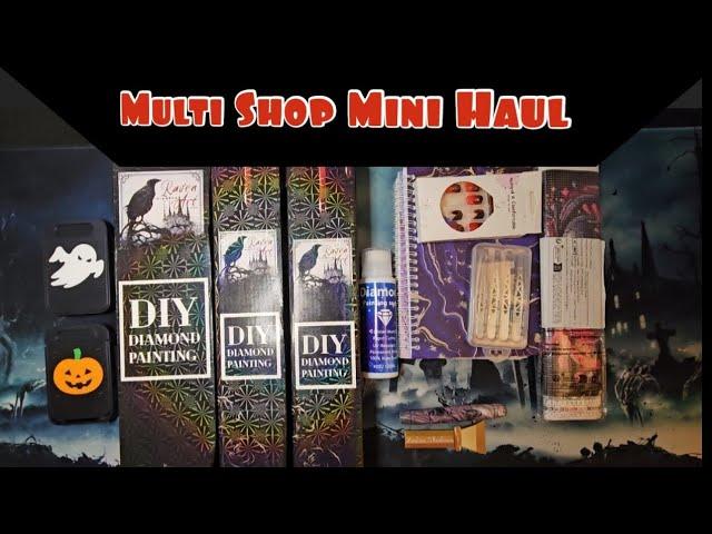 Multi Shop Mini Haul! MYOWA,  Ephemera3D,  ZodiacShadows,  Raven Diamond Art,  & #temu !