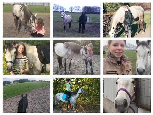 My 2016 year | HorseTime