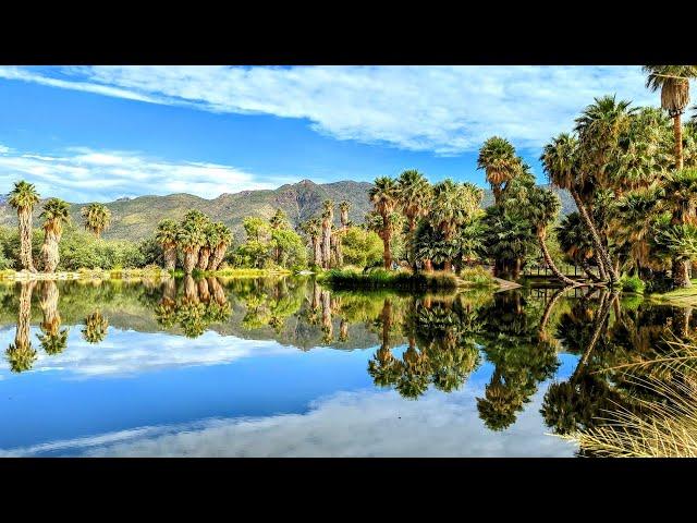 Walking in Agua Caliente Park: August 14, 2022