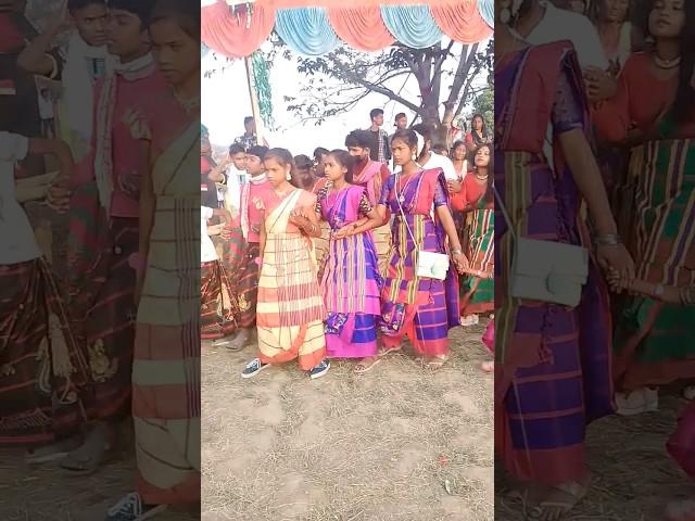 BITADI LAGNE ENENJ 2024 #shorts #santalivideo #lagne #enej #shortvideo #bodo boyha