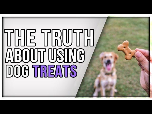 Is Treat Training Bad? Why I Use Food Instead Of Force For Training Dogs.