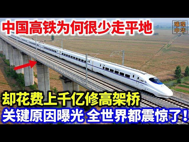 中国高铁为何很少走平地，却花费上千亿修高架桥，关键原因曝光，全世界都震惊了！#中国制造 #工程 #大国重器