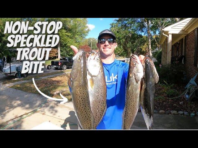 Non-Stop Speckled Trout Bite In Early Fall (Limiting Out Within Minutes) in Elizabeth River!