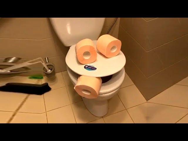 Здравствуй, ай лягушка, как дела?
