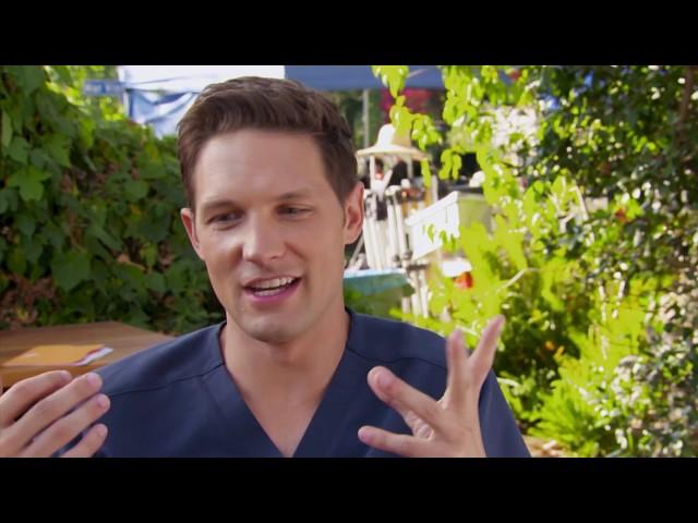 Michael Cassidy: DOG DAYS