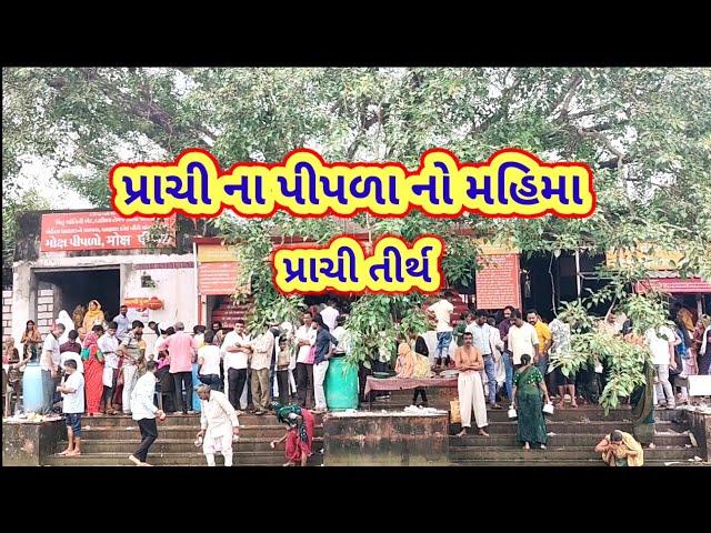 પ્રાચી ના પીપળા નો મહિમા || prachi na pipal no Mahima || prachi tirth