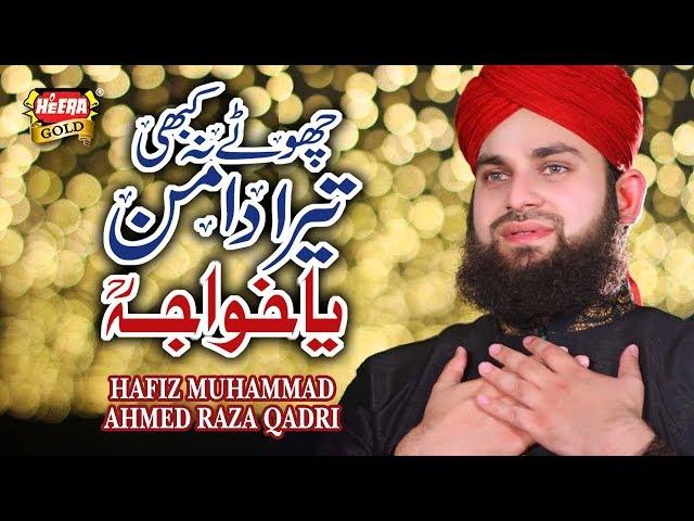 Hafiz Ahmed Raza Qadri - Chote Na Kabhi Tera Daman - Mera Koi Nahi Hai Tere Siwa - Heera Gold